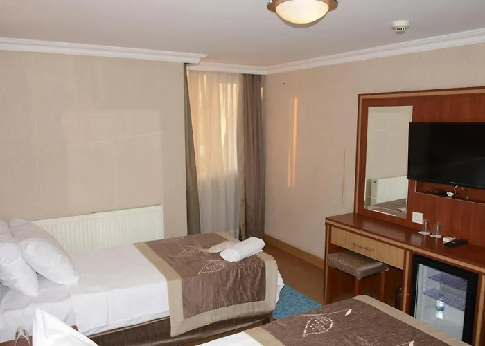 Hotel Hermanos Stambuł