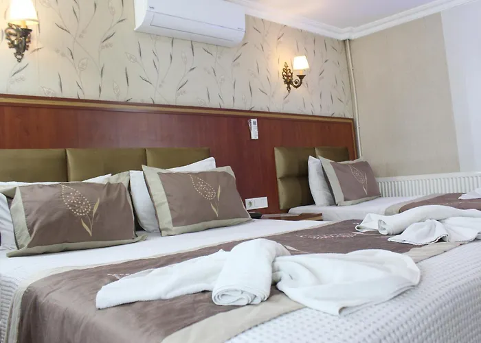 Hermanos Hotel Stambuł